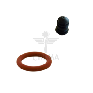 Z5 Steam Nozzle with O rings