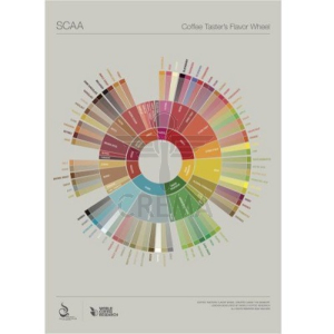 Lexicon Flavour Wheel Poster