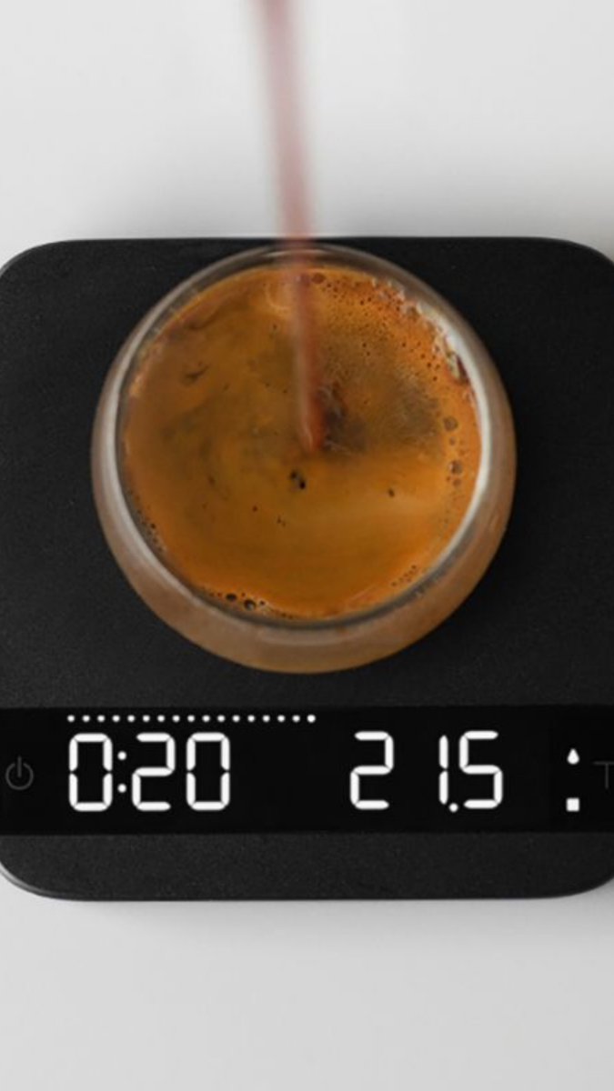 acaia pearl 22