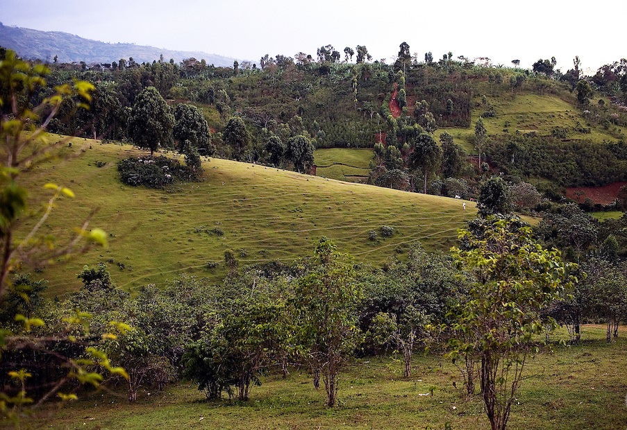 Ethiopia, Sidama
