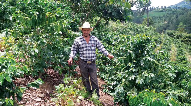 Silvestre Vasquez, Honduras Coffee Farmer, image courtesy of BeanScene Magazine