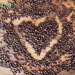 Coffee origins Coffee Origins Explained! Everything You Need To Know About Coffee Beans