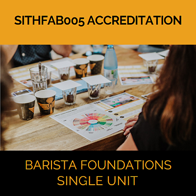 Barista Foundations Single Unit