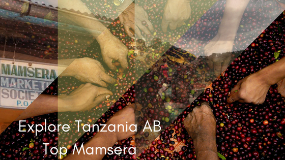 Crema Trekkers Explore Tanzania AB Top Mamsera