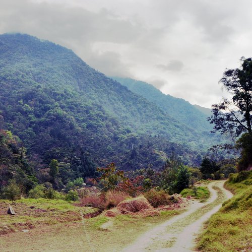 Finca Kassandra Mexico