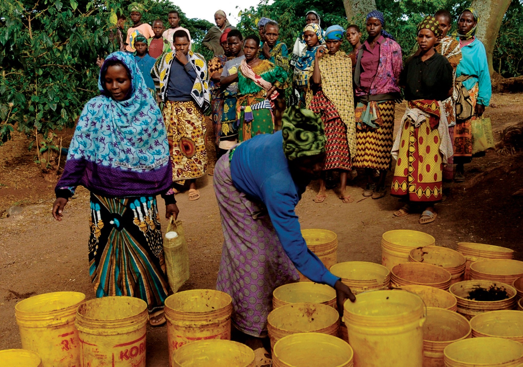 Tanzania Coffee Workers