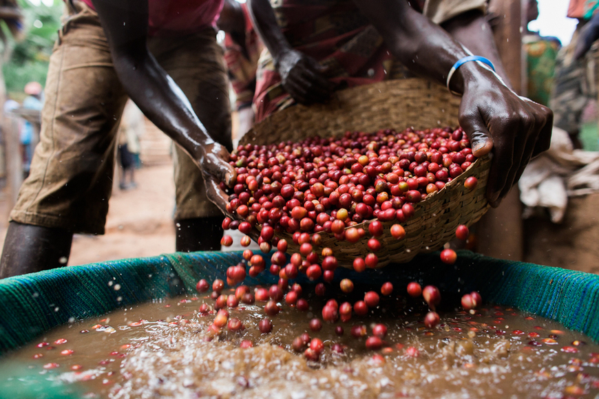 Burundi Coffee Single Origin