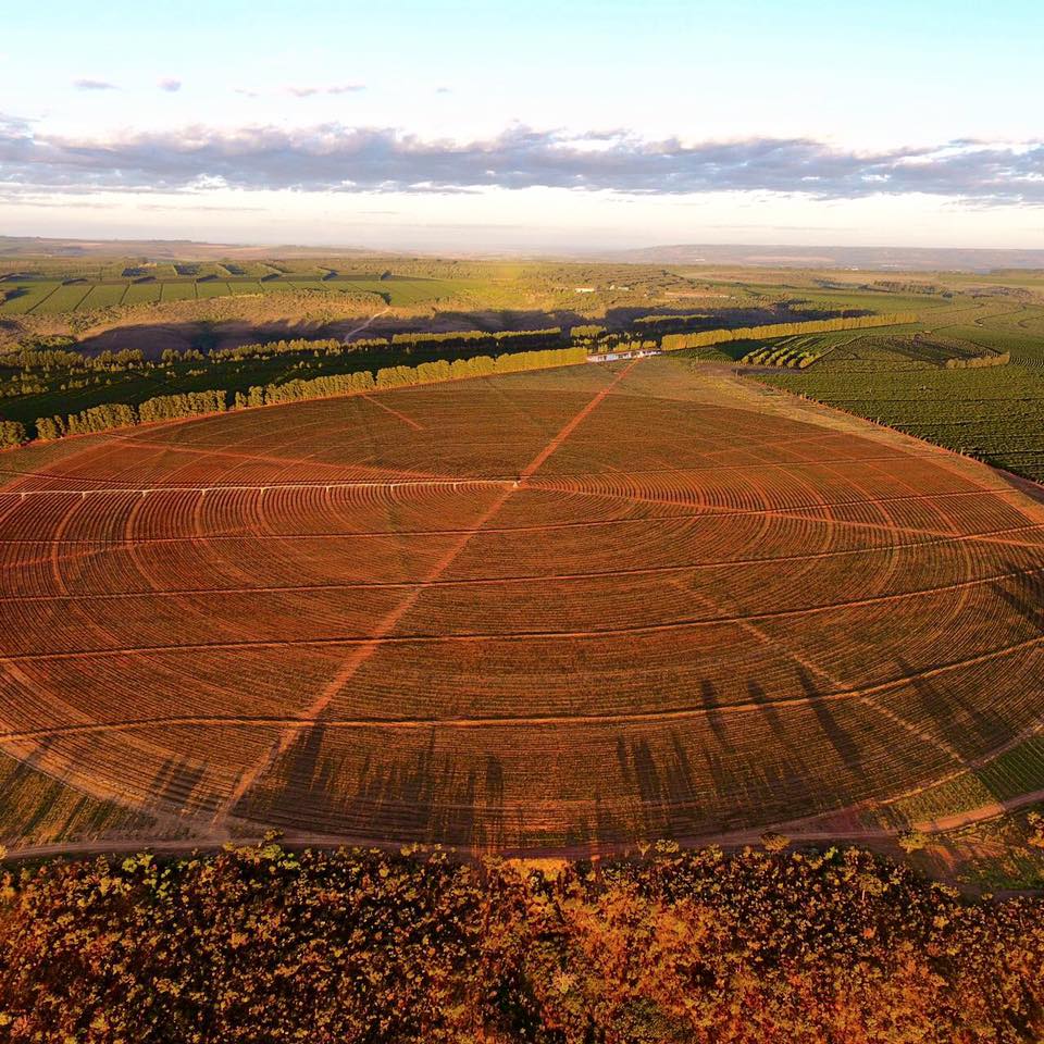 Daterra Brazil