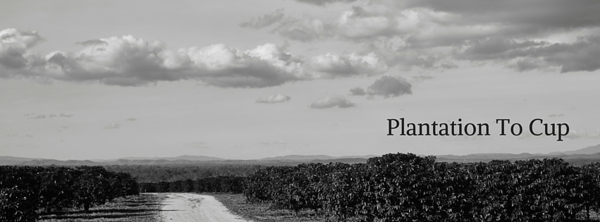 Dimbulah Cover Photo