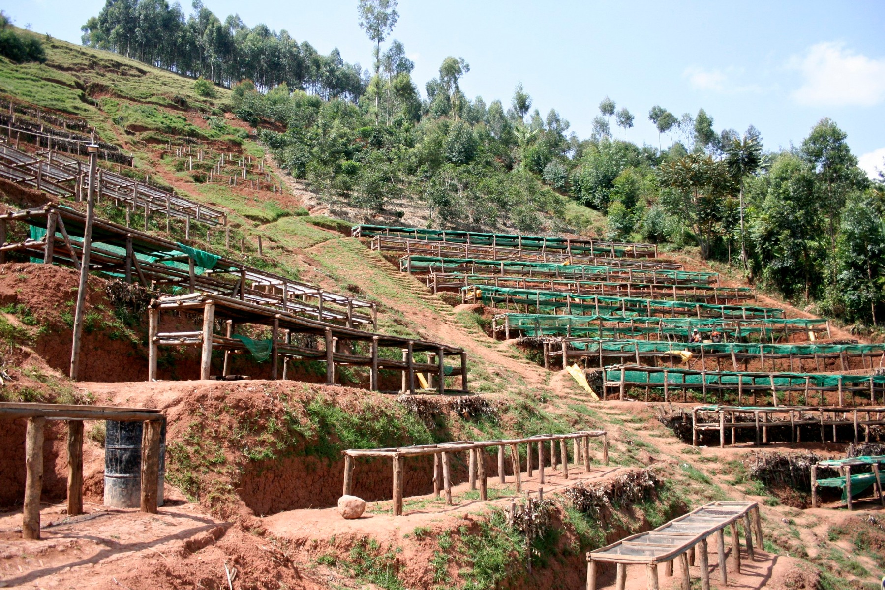 Burundi Coffee Single Origin