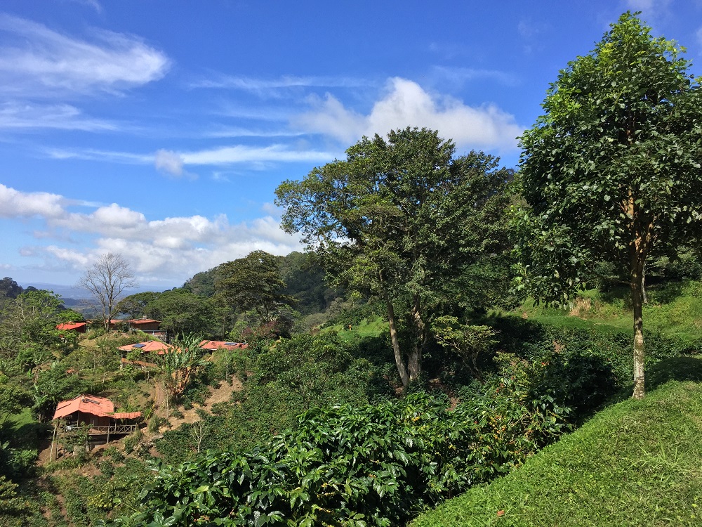 La Bastilla Ecolodge
