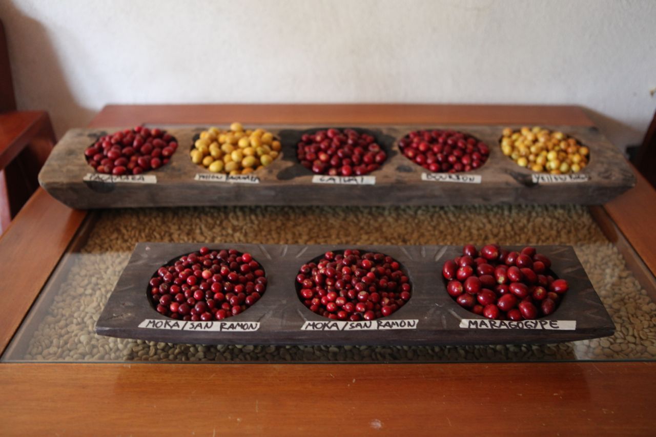 Finca El Injerto Cherry Sorting