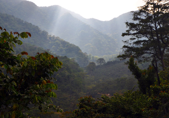 Mexico Landscape