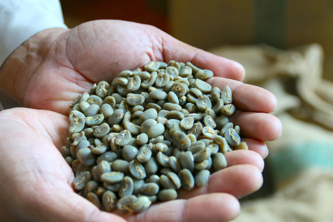 Indonesia Blue Bianca Giling Basah Green Beans