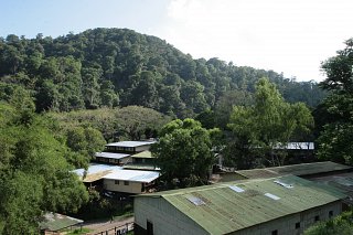 La Bastilla Coffee Estates Nicaragua
