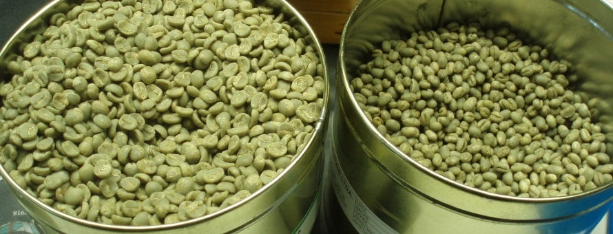 green beans