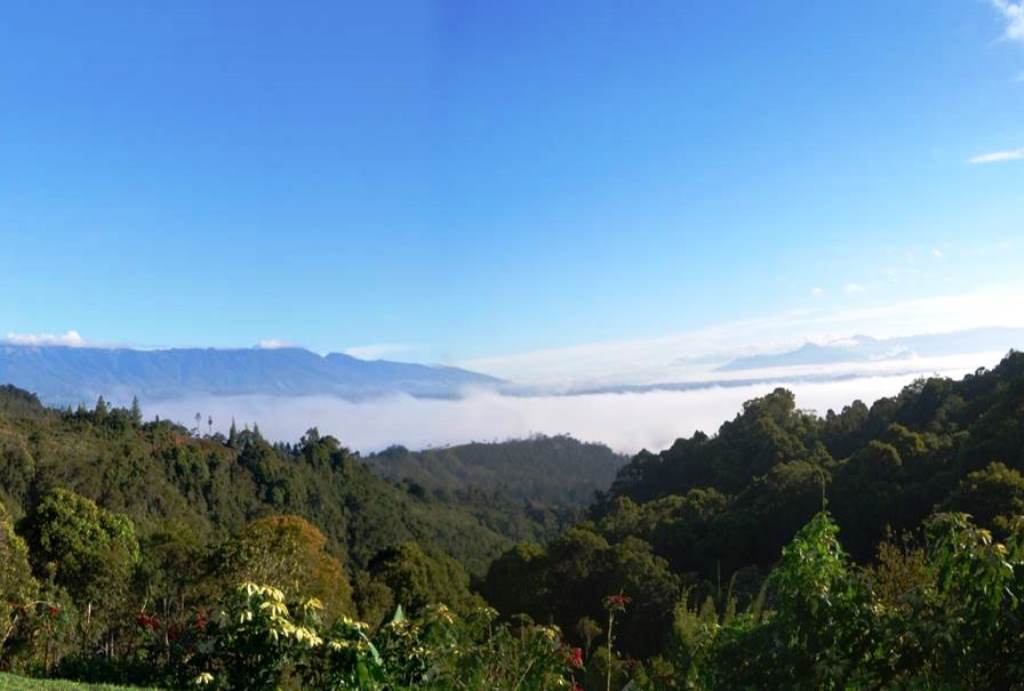 PNG Landscape