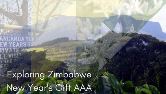 Zimbabwe Landscape